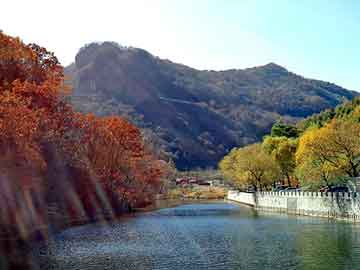 澳门二四六天天免费好材料，完本都市异能小说